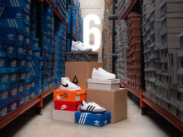 Paca 6 pares